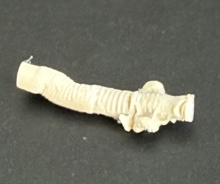 File:Bulging 3D Printer Filament.jpg