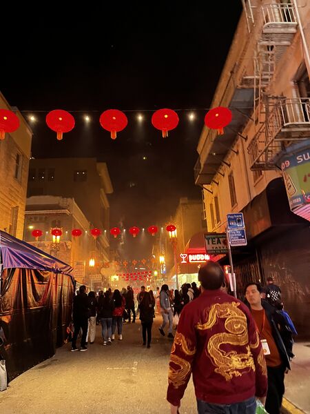 File:Roshan at Chinese New Year 2024.jpg